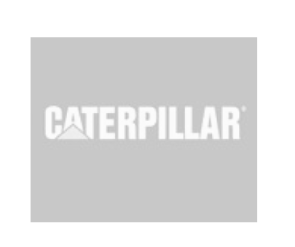 Caterpillar-1