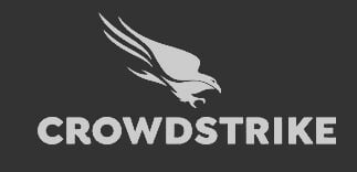 crowdstrike new